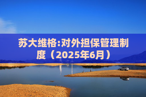 苏大维格:对外担保管理制度（2025年6月）