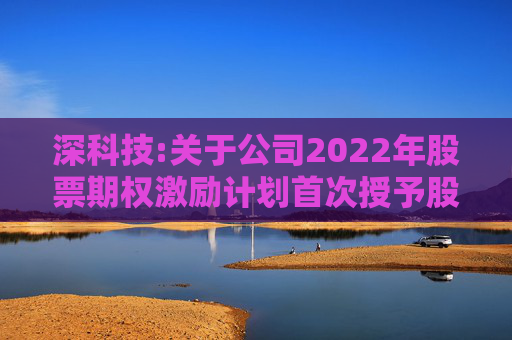深科技:关于公司2022年股票期权激励计划首次授予股票期权第一个行权期行权条件成就的公告  第1张