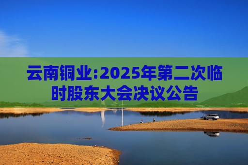 云南铜业:2025年第二次临时股东大会决议公告