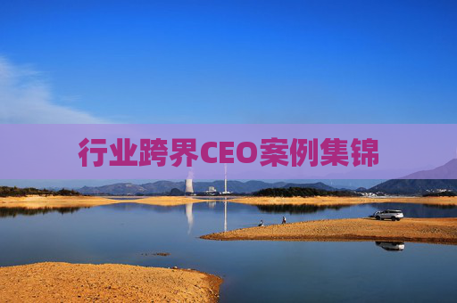 行业跨界CEO案例集锦