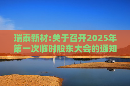 瑞泰新材:关于召开2025年第一次临时股东大会的通知