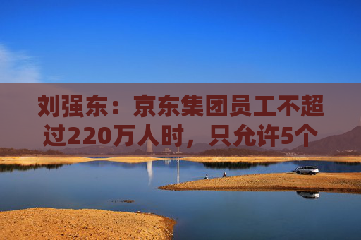 刘强东:京东集团员工不超过220万人时,只允许5个组织层级