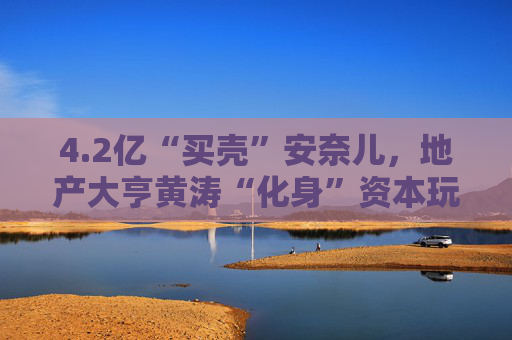 4.2亿“买壳”安奈儿,地产大亨黄涛“化身”资本玩家