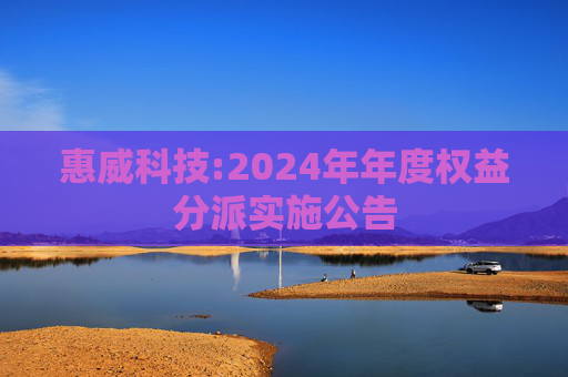 惠威科技:2024年年度权益分派实施公告