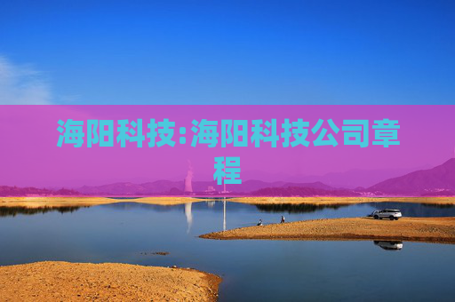 海阳科技:海阳科技公司章程