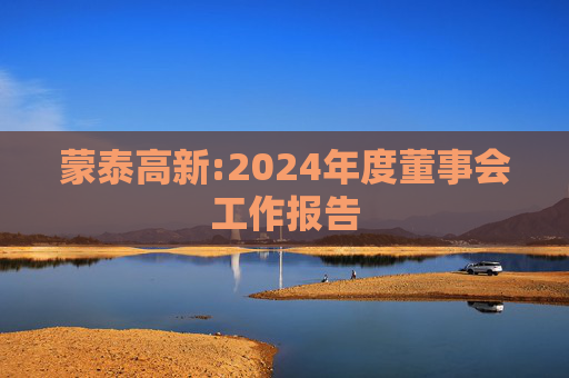 蒙泰高新:2024年度董事会工作报告