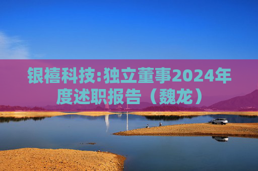 银禧科技:独立董事2024年度述职报告（魏龙）