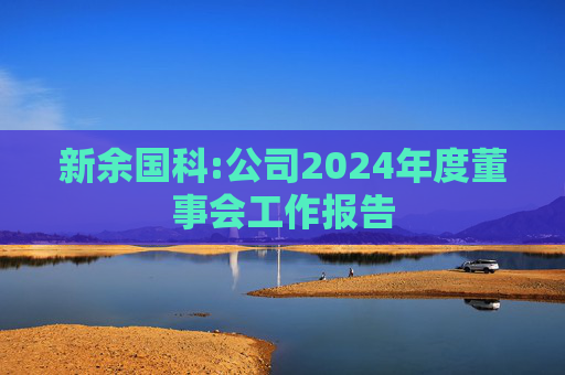 新余国科:公司2024年度董事会工作报告  第1张