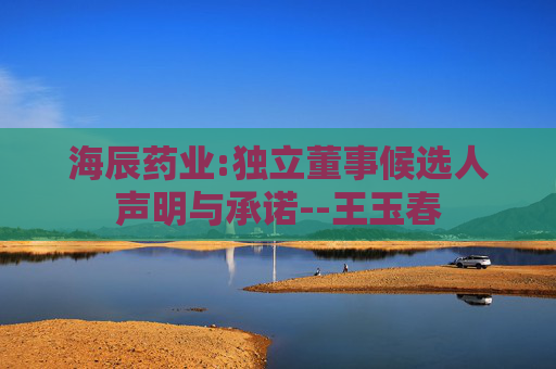 海辰药业:独立董事候选人声明与承诺--王玉春