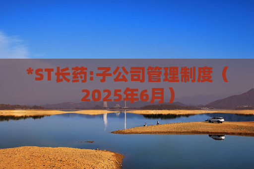 *ST长药:子公司管理制度（2025年6月）