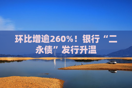 环比增逾260%！银行“二永债”发行升温
