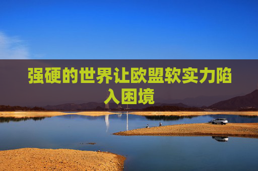 强硬的世界让欧盟软实力陷入困境