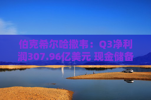 伯克希尔哈撒韦:Q3净利润307.96亿美元 现金储备达3816.7亿美元