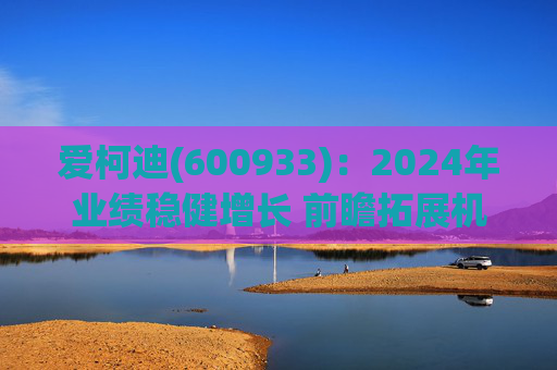 爱柯迪(600933)：2024年业绩稳健增长 前瞻拓展机器人相关业务