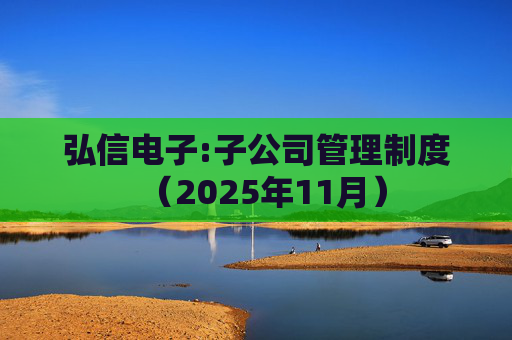 弘信电子:子公司管理制度（2025年11月）  第1张