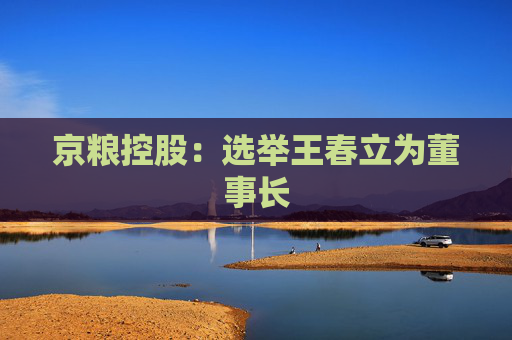 京粮控股:选举王春立为董事长