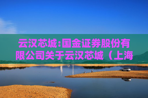 云汉芯城:国金证券股份有限公司关于云汉芯城（上海）互联网科技股份有限公司调整募投项目内部投资结构及部分募投项目新增实施主体的核查意见
