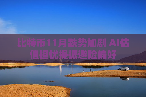 比特币11月跌势加剧 AI估值担忧提振避险偏好
