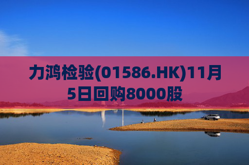 力鸿检验(01586.HK)11月5日回购8000股