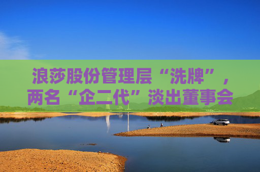 浪莎股份管理层“洗牌”，两名“企二代”淡出董事会