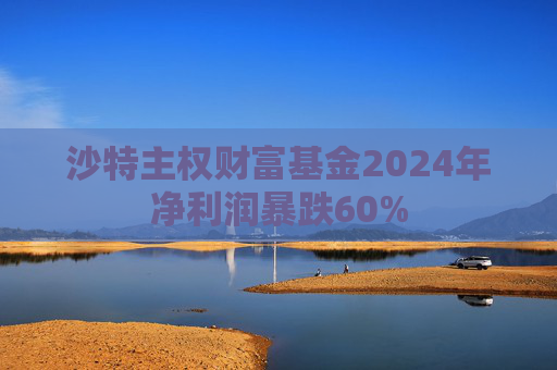 沙特主权财富基金2024年净利润暴跌60%