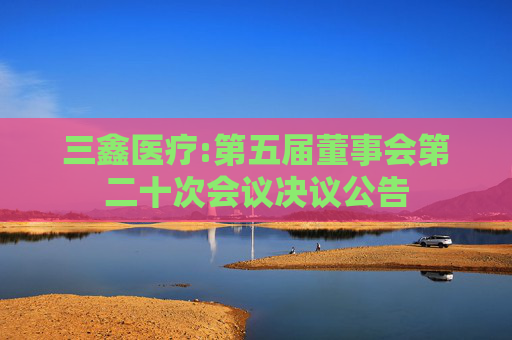 三鑫医疗:第五届董事会第二十次会议决议公告  第1张