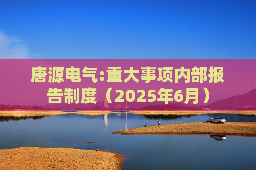 唐源电气:重大事项内部报告制度（2025年6月）