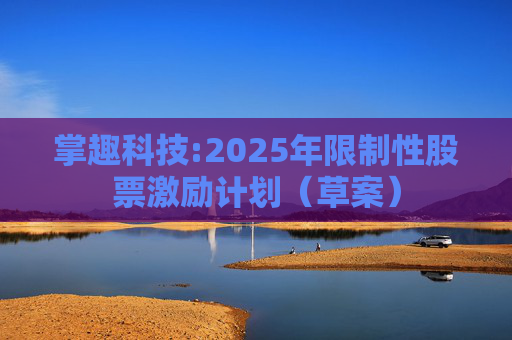 掌趣科技:2025年限制性股票激励计划（草案）