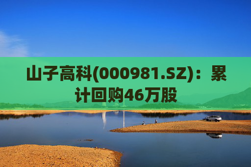 山子高科(000981.SZ):累计回购46万股 第1张 山子高科(000981.SZ):累计回购46万股 第1张