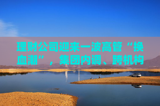 理财公司迎来一波高管“换血潮”，集团内调、跨机构流动成主线