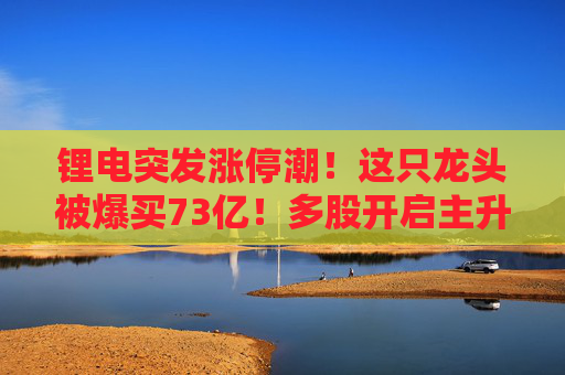 锂电突发涨停潮！这只龙头被爆买73亿！多股开启主升浪
