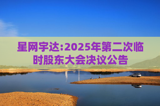 星网宇达:2025年第二次临时股东大会决议公告