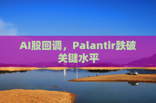 AI股回调,Palantir跌破关键水平