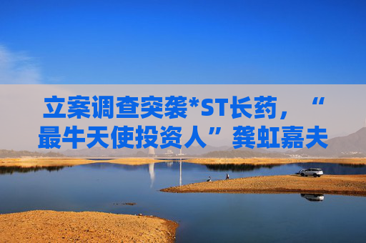 立案调查突袭*ST长药，“最牛天使投资人”龚虹嘉夫妇5.93亿元投资再临挑战