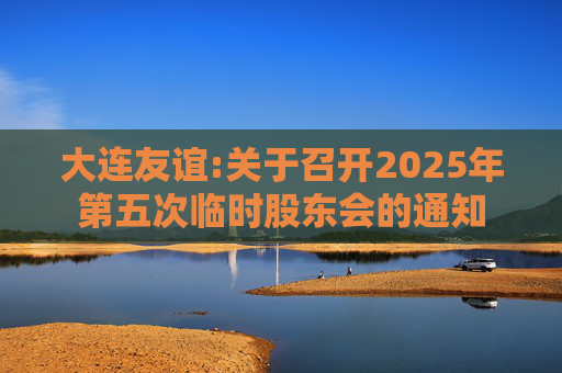 大连友谊:关于召开2025年第五次临时股东会的通知  第1张