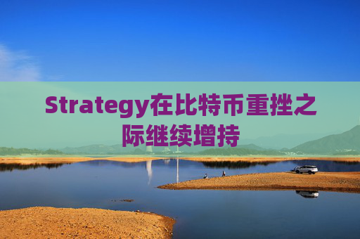 Strategy在比特币重挫之际继续增持