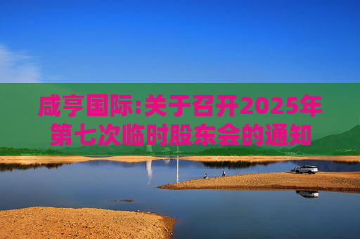 咸亨国际:关于召开2025年第七次临时股东会的通知  第1张