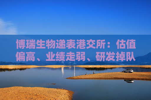 博瑞生物递表港交所:估值偏高、业绩走弱、研发掉队、内控问题频发 资本市场是否买单?