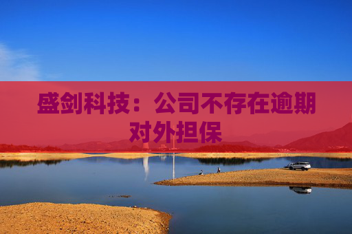 盛剑科技:公司不存在逾期对外担保