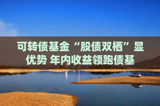 可转债基金“股债双栖”显优势 年内收益领跑债基