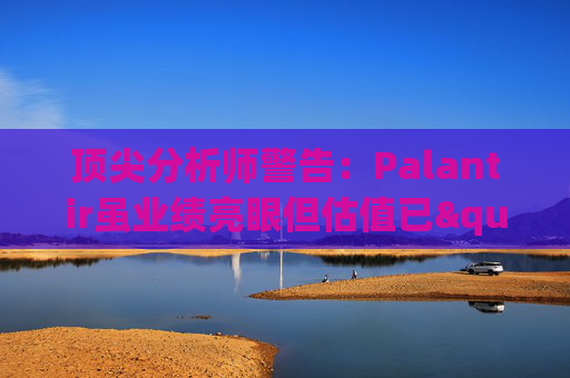 顶尖分析师警告:Palantir虽业绩亮眼但估值已"趋于完美"
