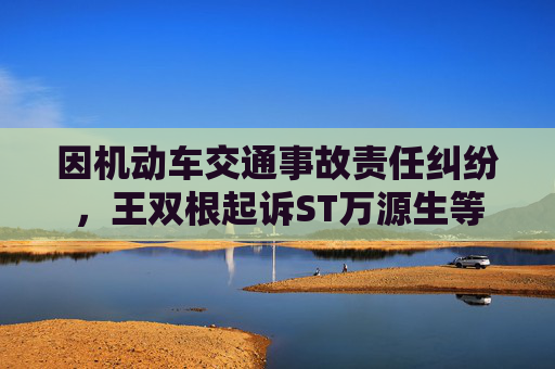 因机动车交通事故责任纠纷，王双根起诉ST万源生等