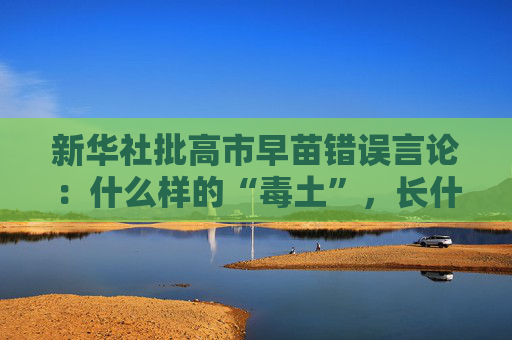 新华社批高市早苗错误言论:什么样的“毒土”,长什么样的“毒苗”