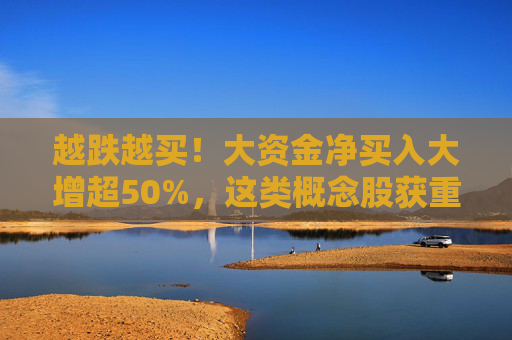越跌越买！大资金净买入大增超50%，这类概念股获重点关注  第1张