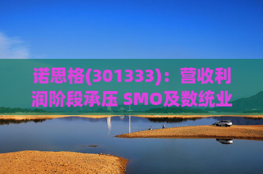 诺思格(301333)：营收利润阶段承压 SMO及数统业务保持稳健增长