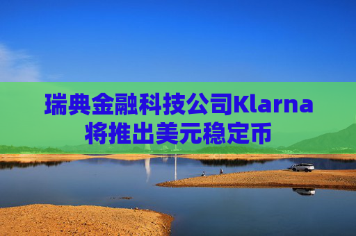 瑞典金融科技公司Klarna将推出美元稳定币