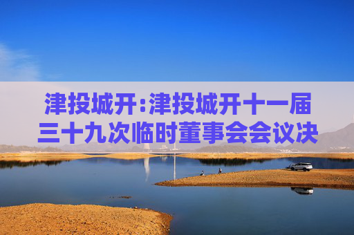 津投城开:津投城开十一届三十九次临时董事会会议决议公告