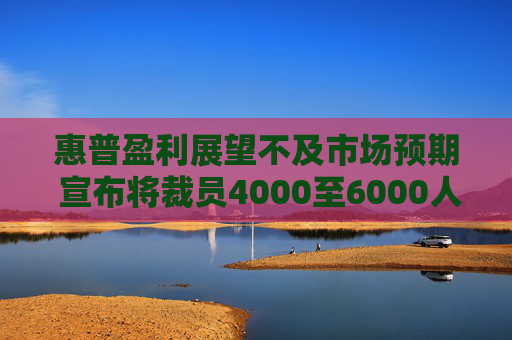 惠普盈利展望不及市场预期 宣布将裁员4000至6000人