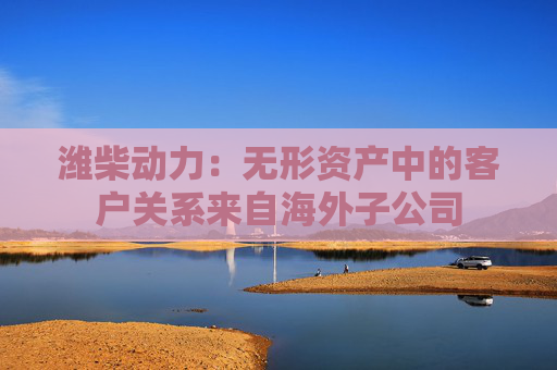 潍柴动力：无形资产中的客户关系来自海外子公司  第1张