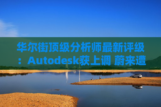 华尔街顶级分析师最新评级:Autodesk获上调 蔚来遭下调